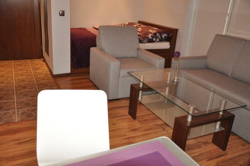 Apartament Bajkowy ブスコ・ズドロイ エクステリア 写真